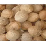 Fresh Coconut   