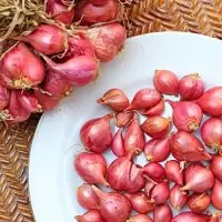 Small Onion