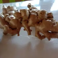 Mature Ginger