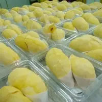 Durian