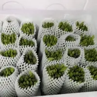 Asparagus