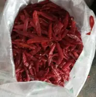 Red Chilli