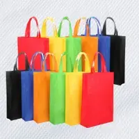 PP Non Woven Fabric Bags