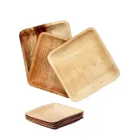 Areca Palm Leaf Plate - Rectangular