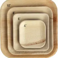 Areca Palm Leaf Plate - Square
