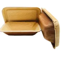 Disposable, Biodegradable Take Away Boxes