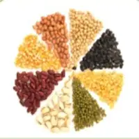 Pulses