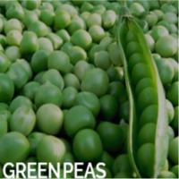 Green Peas