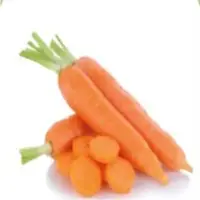 Carrot
