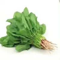 Spinach