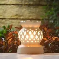 Electric Diffuser