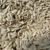 Pumpkin Seeds