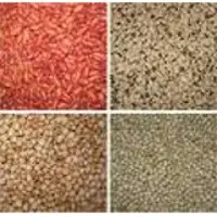 Pulses