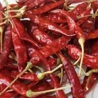 Dry Red Chilli