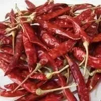 Teja (S 17) Dry Red Chilli
