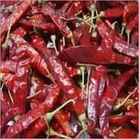 Sannam 334 (S 4) Dry Red Chilli