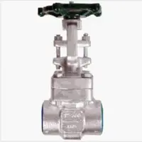 Forged Valves - Gate & Globe