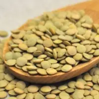 Green Lentils