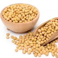Non-GMO Soybeans