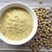 Toasted Soybean Flour