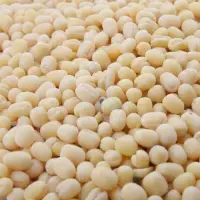 Urad Dal