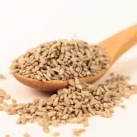 Sunflower Seeds