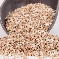 Whole Grain Buckwheat