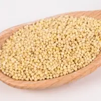 Hulled Millet