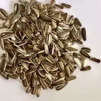 Dakota Stripped Sunflower Seeds