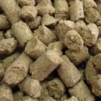 Organic Wheat Bran Pellets (Animal Feed)