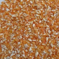 Organic Yellow Maize Grits (Animal Feed)