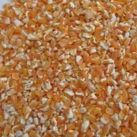 Organic Yellow Maize Grits (Animal Feed)