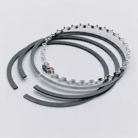 Piston Ring