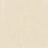 Vitrified tiles