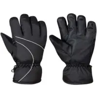 Ski Gloves