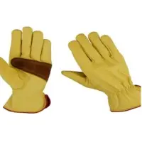 Driver Gloves
