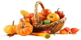 Shivapriya Agrifarms Private Limited company image 1