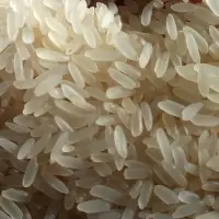 IR 64 Rice