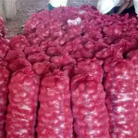 Red Onions