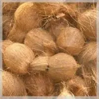 Organic Coconut