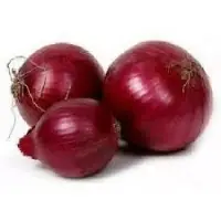 Onion