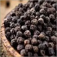 Pepper