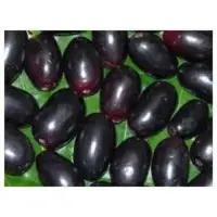 Jamun Extract