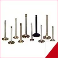 Engine valves