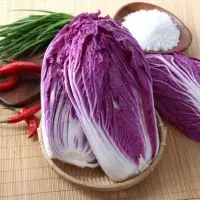 Red Cabbage Anthocyanins Cabbage 10 Kgs
