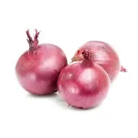 Onion