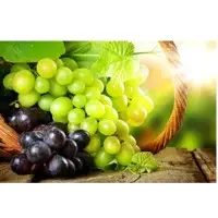 Grapes