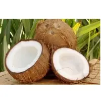 Coconut