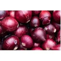 Onion
