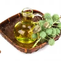 Castor Oil